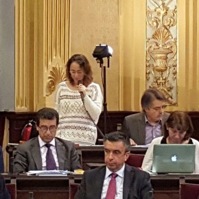 Ciudadanos (C's) vota a favor de una proposición en defensa del Estado de Derecho y de la cohesión de España que rechaza el Parlament