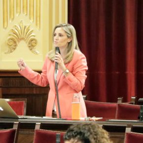 Cs Baleares exige al conseller de Educación que busque soluciones de forma consensuada con la comunidad educativa para la vuelta a las aulas