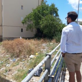 Cs Palma reclama al Ayuntamiento la limpieza del torrente de La Vileta