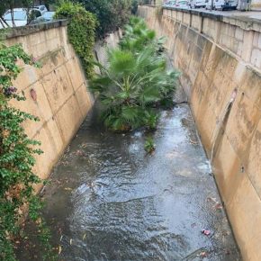 Cs Manacor muestra su “preocupación” por la “dejadez” en el mantenimiento del torrente de la ciudad