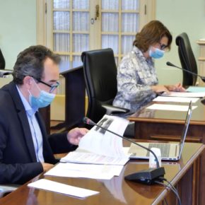 El Parlament aprueba, a propuesta de Cs Baleares, acabar con el retraso existente en la valoración de porcentajes y grados de discapacidad