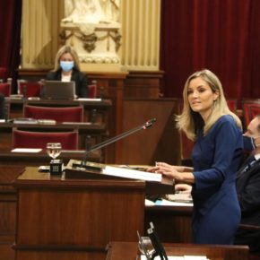 Guasp: “Presenten unos Presupuestos realistas, sensatos y moderados que supongan un balón de oxígeno para familias, para autónomos, empresas y trabajadores”