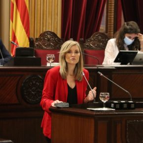 Guasp: “Lamentamos que PSIB y Unidas Podemos den la espalda a las reivindicaciones históricas de los ciudadanos de las Islas con el apoyo de VOX”