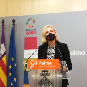 Cs Palma exige a Hila un compromiso de lucha activa contra la venta ambulante ilegal