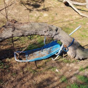 Cs Palma reclama al Ayuntamiento mejorar el mantenimiento del Bosque de la Playa de Palma