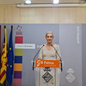 Ciudadanos (Cs) Palma pide incrementar la seguridad en la Plaza de España