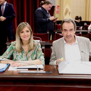 Cs Baleares consigue la aprobación de su iniciativa para rebajar el IVA del material escolar