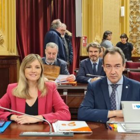 Guasp: “Las enmiendas de Cs aportan medidas eficaces y rebajas fiscales para las familias, pymes y autónomos de Baleares”