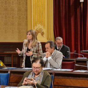 Guasp denuncia la hipocresía del PSOE tras volver a vetar en el Congreso la enmienda de Cs a los PGE para actualizar el complemento por residencia al coste real de vida en Baleares